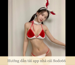 Hướng dẫn tải app nhà cái Sodo66